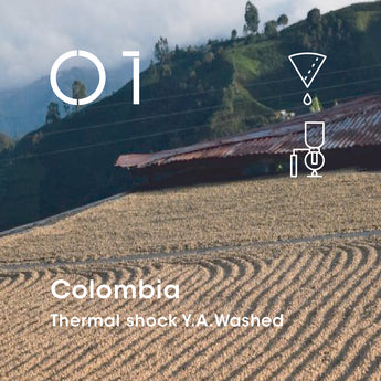 Colombia (Thermal shock Y.A.Washed)