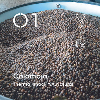 Colombia (Thermal shock Y.A.Natural)