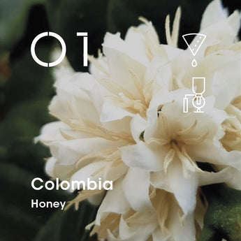 Colombia Geisha (Honey)