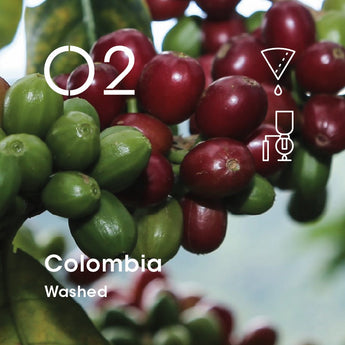 [Coming Soon] Colombia (Washed)