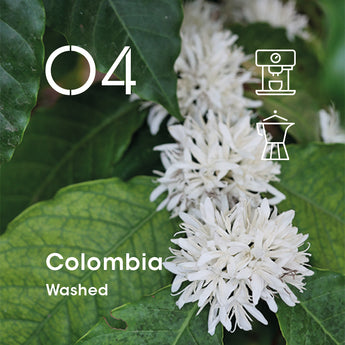 Colombia Supremo (Washed)