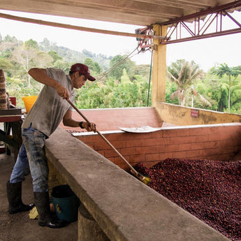 Coffee Cupping Event (December)